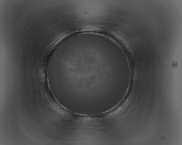 X0000089961401200707131527