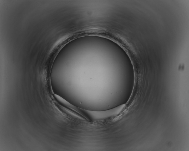 X0000089961402200707131527