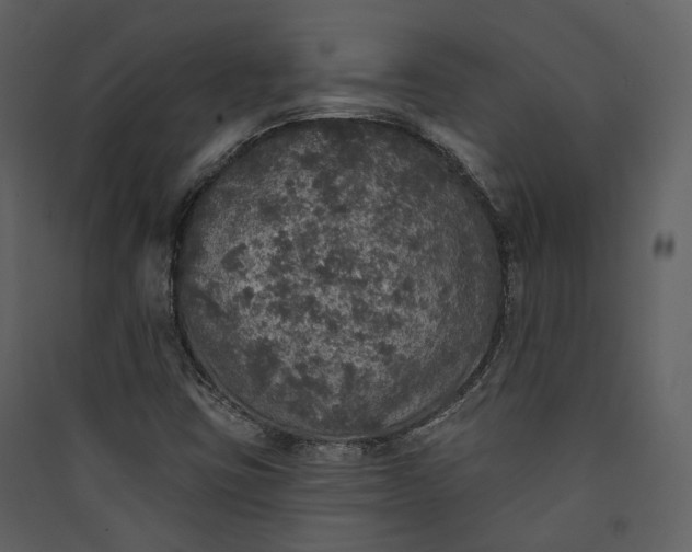 X0000089961403200707131527
