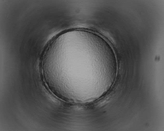 X0000089961404200707131527