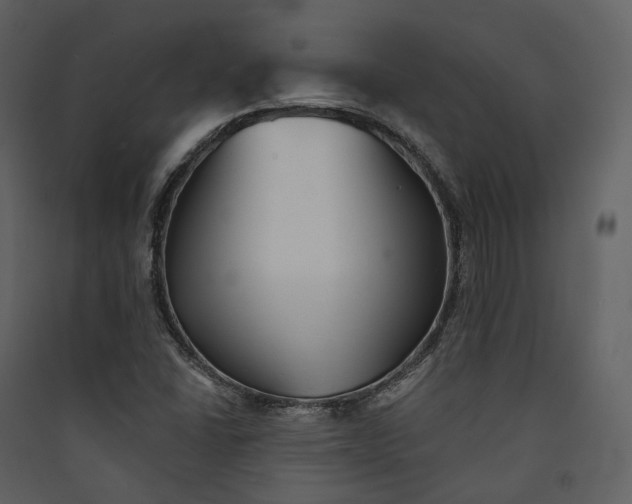 X0000089961406200707131527