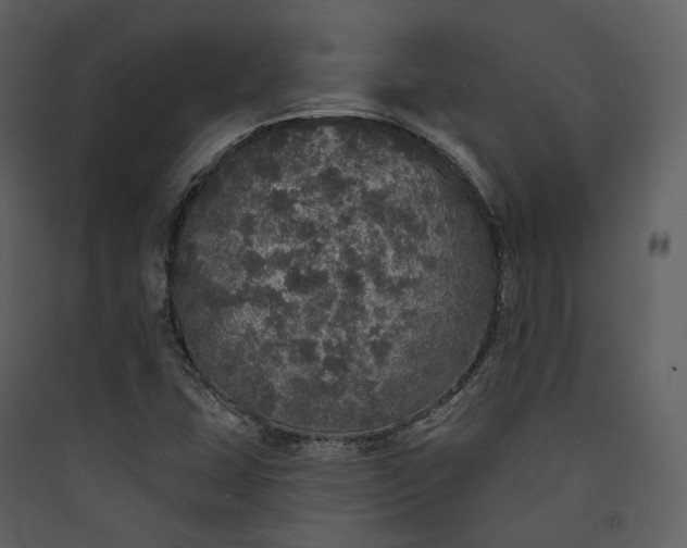 X0000089961407200707131527