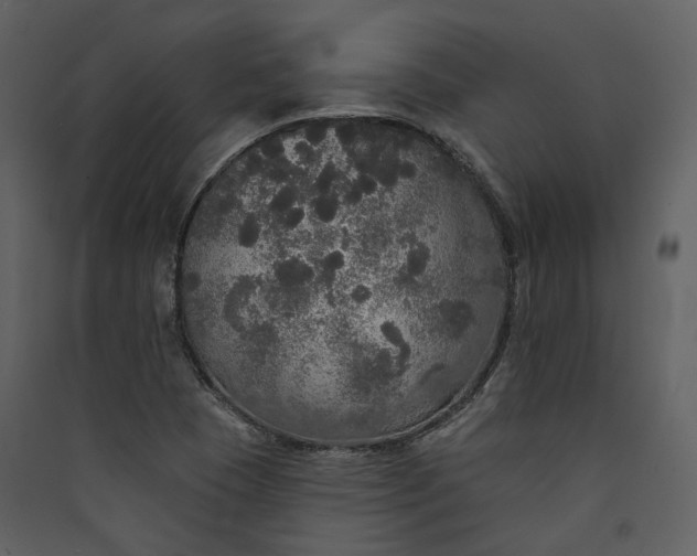 X0000089961409200707131527