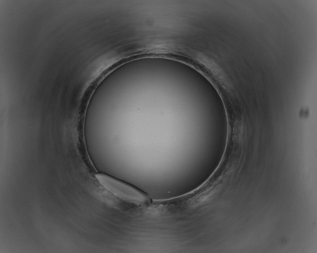 X0000089961410200707131527
