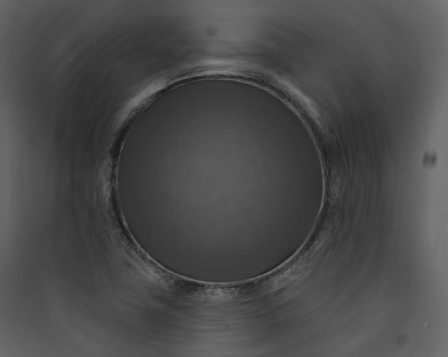 X0000089961411200707131527