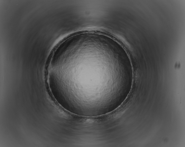 X0000089961412200707131527