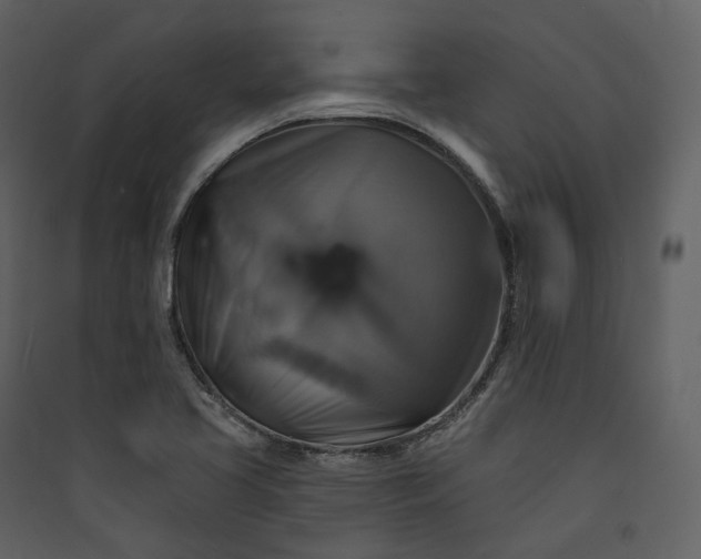X0000089961413200707131527