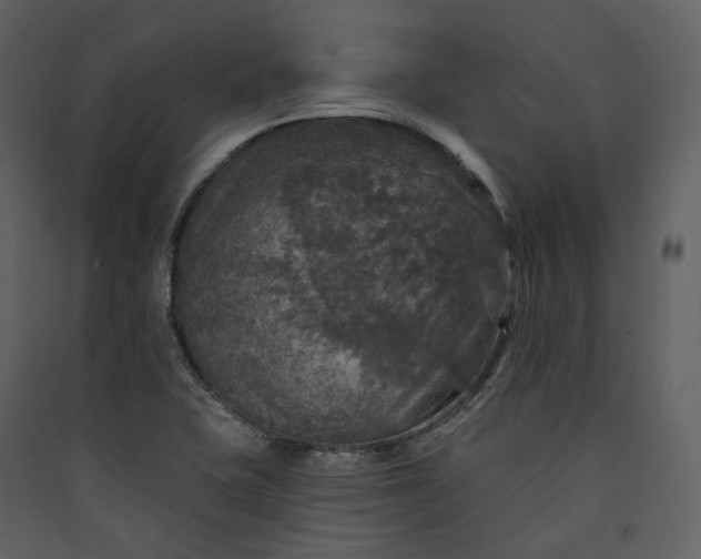 X0000089961415200707131527