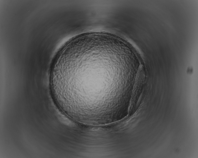 X0000089961416200707131527