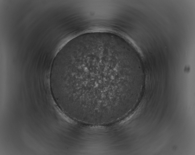 X0000089961417200707131527