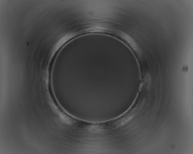 X0000089961418200707131527