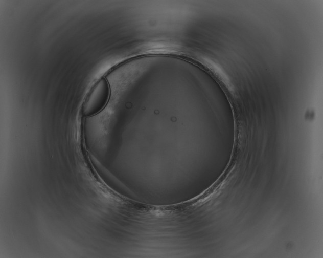 X0000089961419200707131528