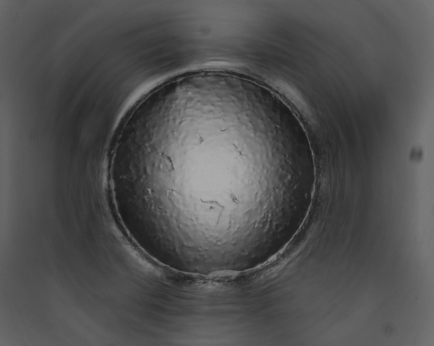 X0000089961420200707131528