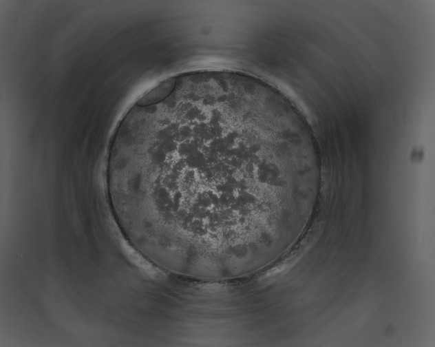 X0000089961421200707131528