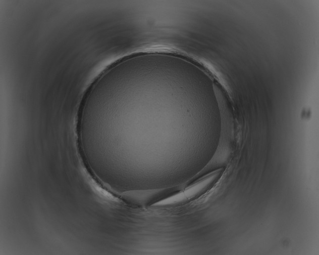 X0000089961422200707131528