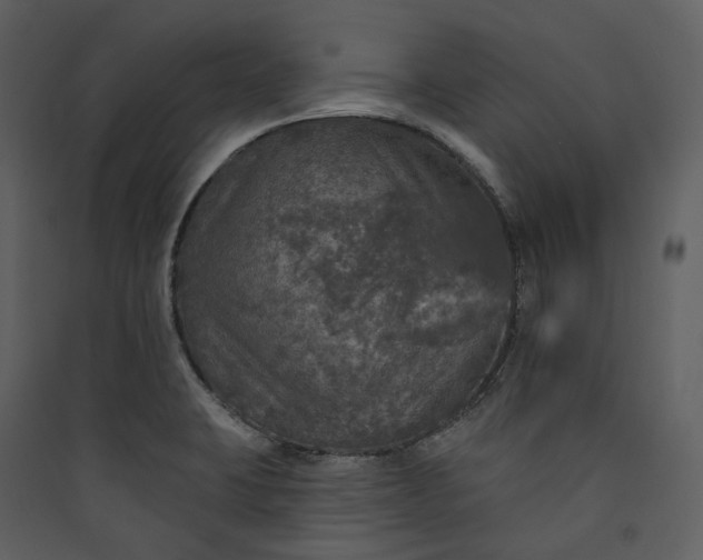 X0000089961423200707131528