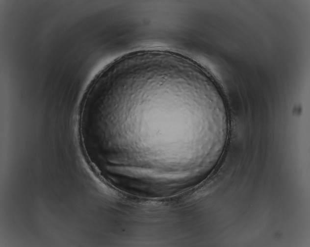 X0000089961424200707131528