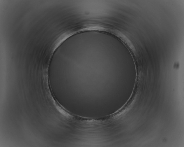 X0000089961425200707131528