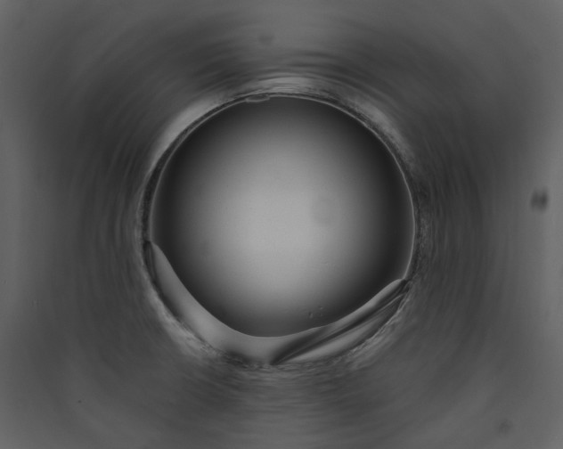 X0000089961426200707131528
