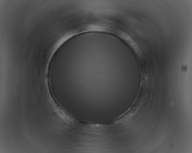 X0000089961427200707131528