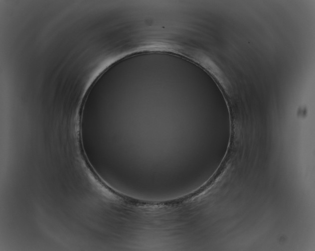 X0000089961428200707131528