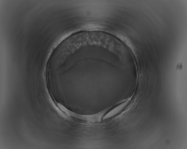 X0000089961429200707131528