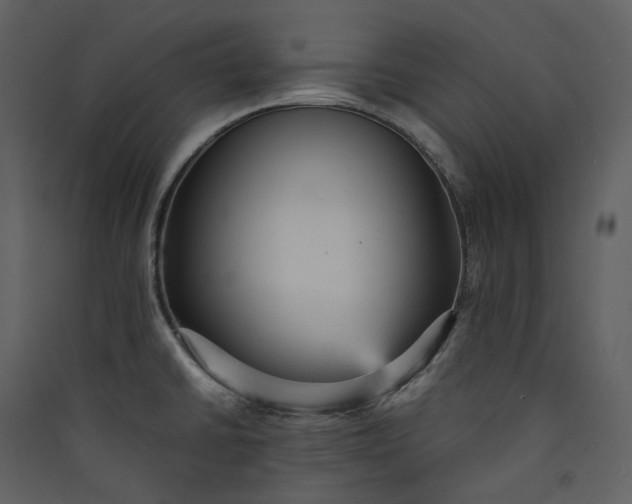 X0000089961430200707131528