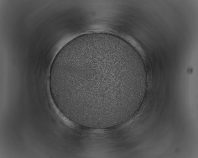 X0000089961431200707131528