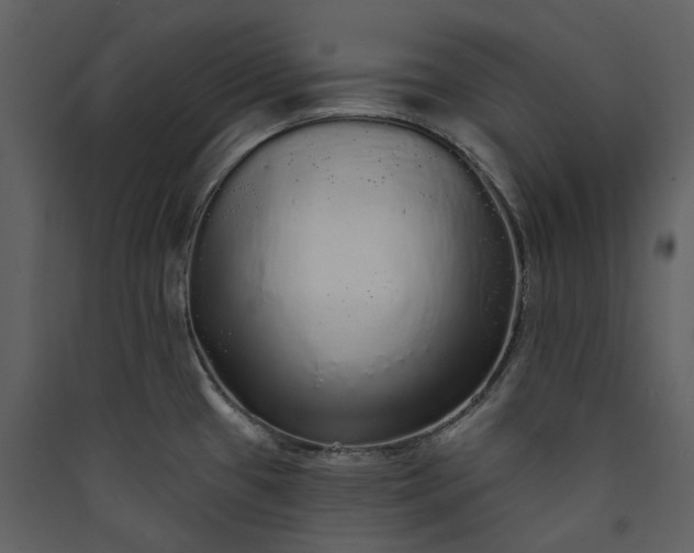 X0000089961433200707131528