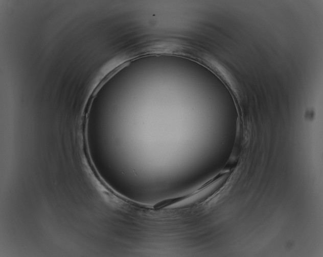 X0000089961434200707131528