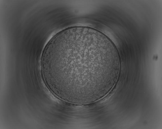 X0000089961436200707131528