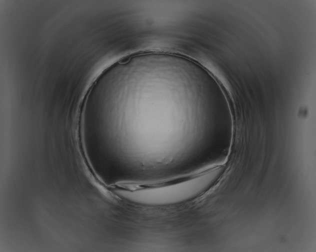X0000089961437200707131528