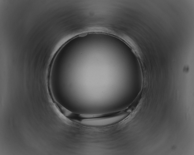X0000089961438200707131528