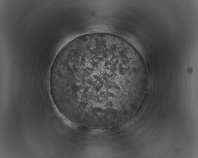 X0000089961439200707131528