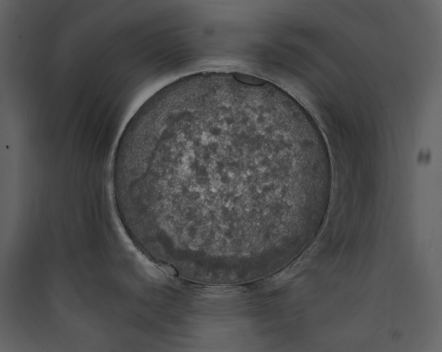 X0000089961440200707131528