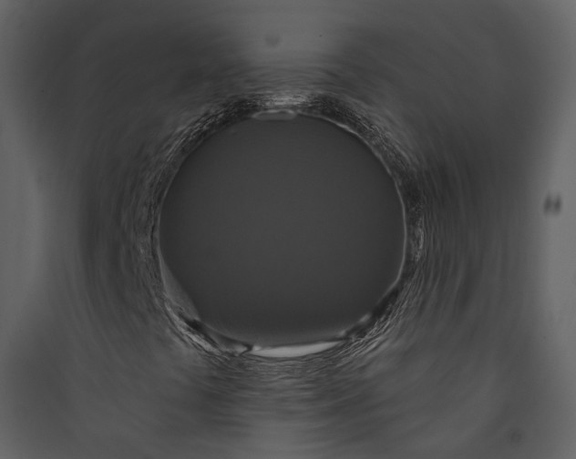 X0000089961441200707131527