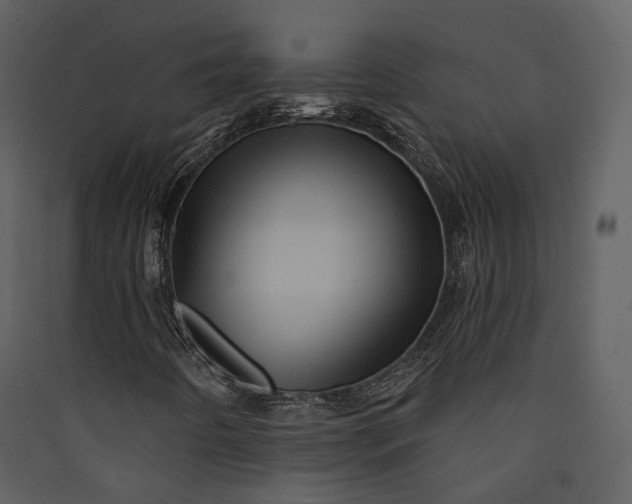X0000089961442200707131527