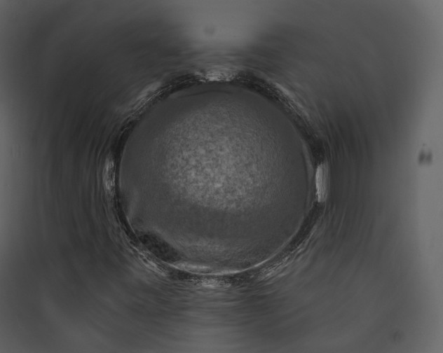 X0000089961443200707131527