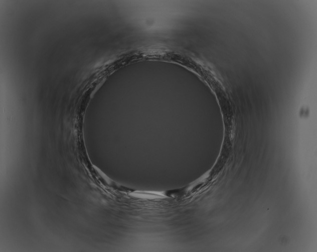 X0000089961445200707131527