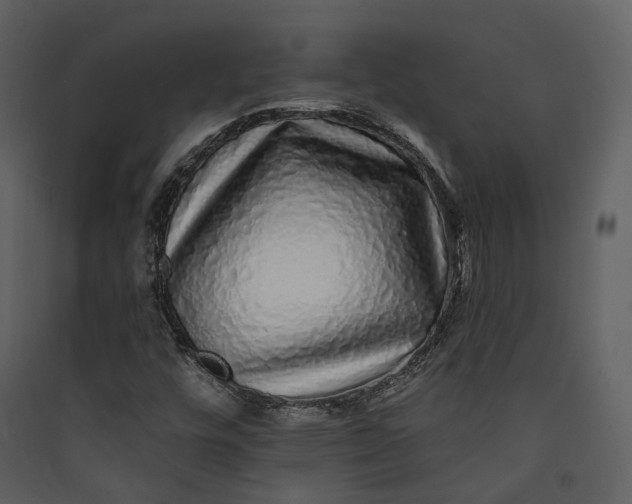 X0000089961448200707131527