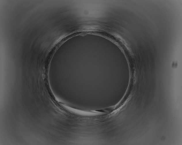 X0000089961449200707131527
