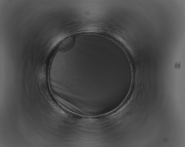 X0000089961450200707131527