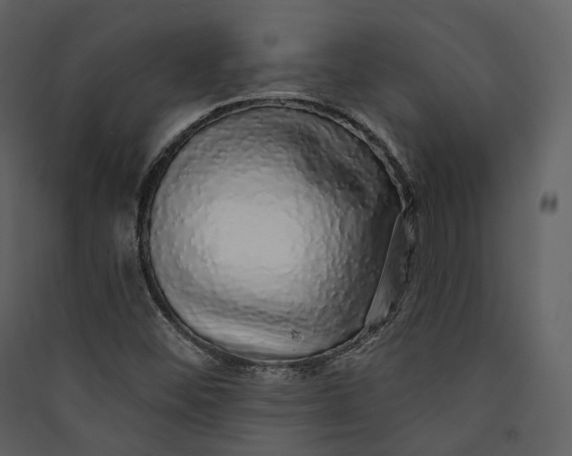 X0000089961452200707131527