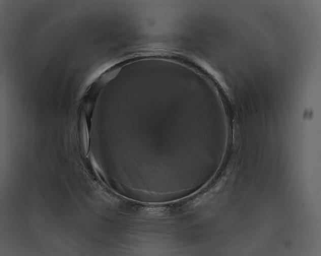 X0000089961453200707131527