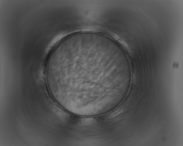 X0000089961454200707131527