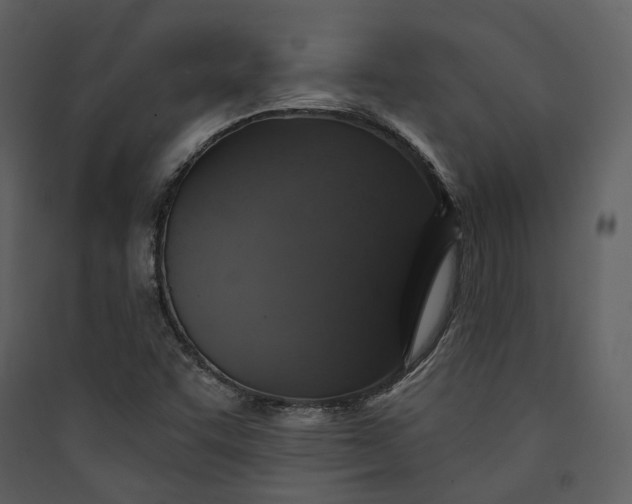 X0000089961455200707131527