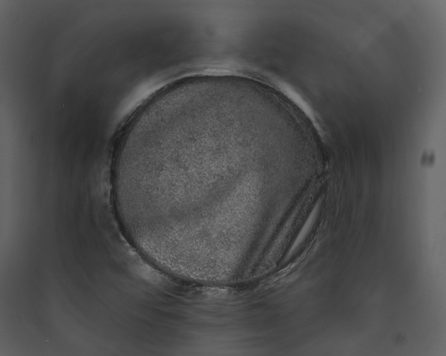 X0000089961456200707131527