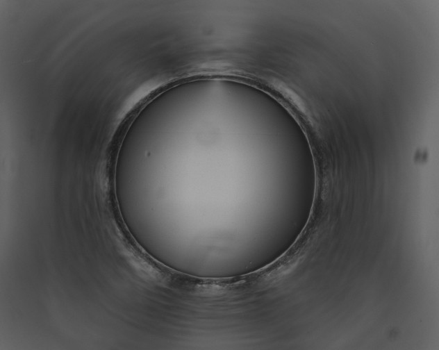 X0000089961458200707131527