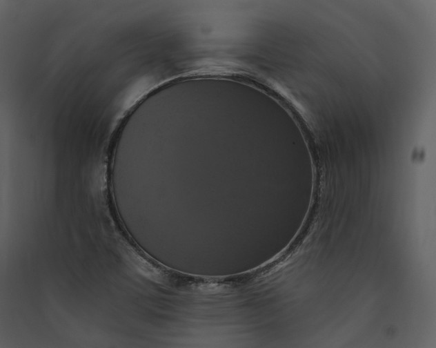 X0000089961459200707131527