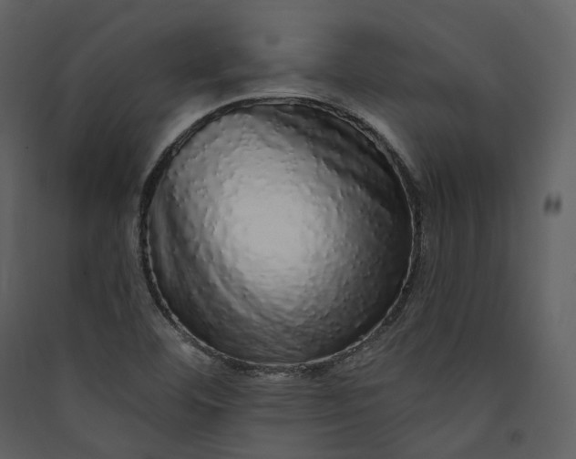 X0000089961460200707131527